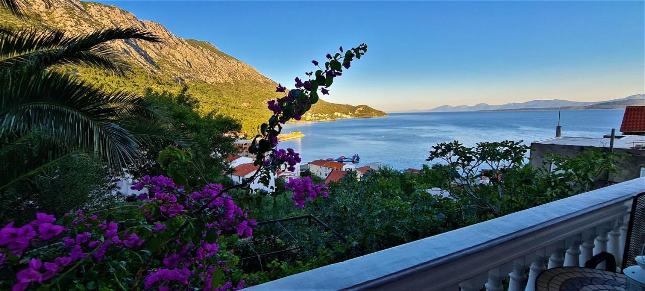 Cosic Apartmani Igrane Exterior photo